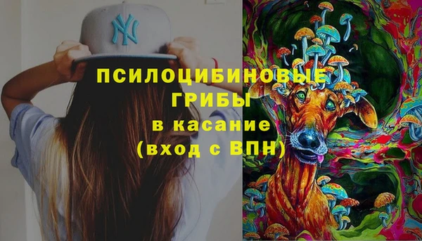 MDMA Новодвинск