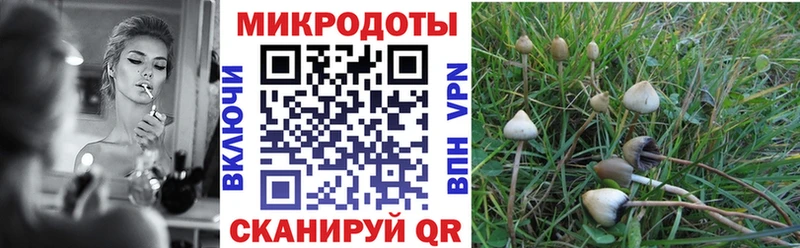 где найти   hydra ссылка  Псилоцибиновые грибы GOLDEN TEACHER  Сальск 